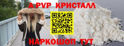 скорость Кингисепп
